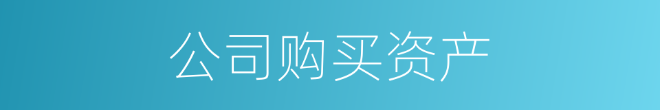公司购买资产的同义词