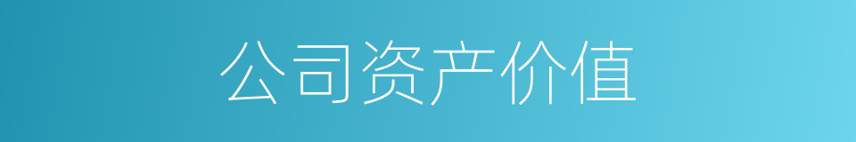 公司资产价值的同义词
