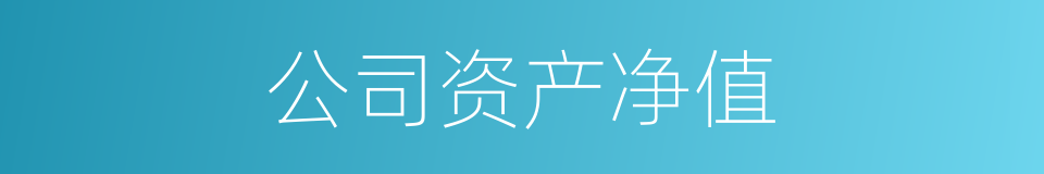 公司资产净值的同义词