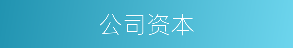 公司资本的同义词