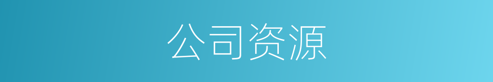 公司资源的同义词