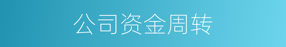 公司资金周转的同义词