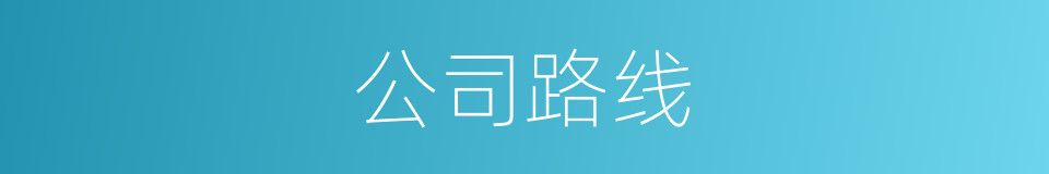 公司路线的同义词