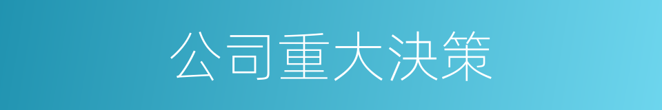 公司重大決策的同義詞