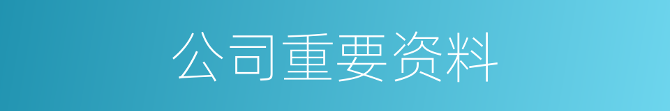 公司重要资料的同义词