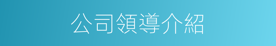 公司領導介紹的同義詞