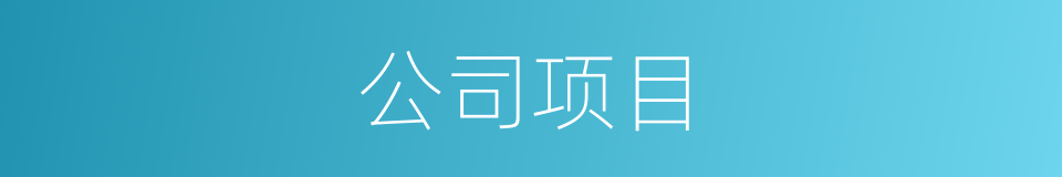 公司项目的同义词