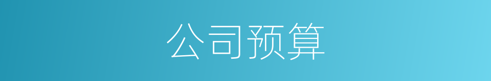 公司预算的同义词