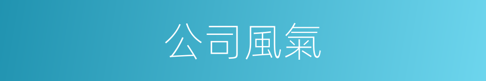 公司風氣的同義詞