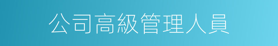 公司高級管理人員的同義詞