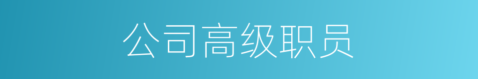 公司高级职员的同义词