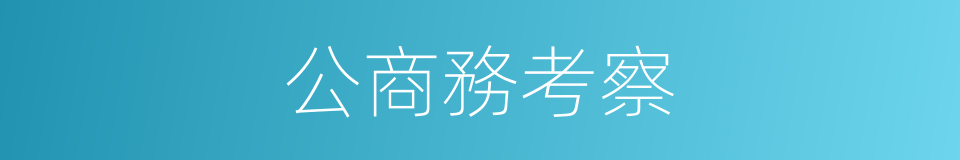 公商務考察的同義詞