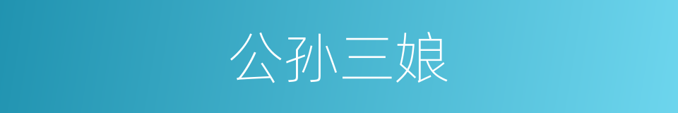 公孙三娘的同义词