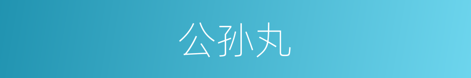 公孙丸的同义词