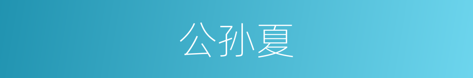 公孙夏的同义词