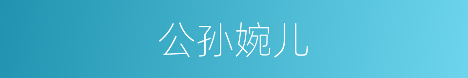 公孙婉儿的同义词