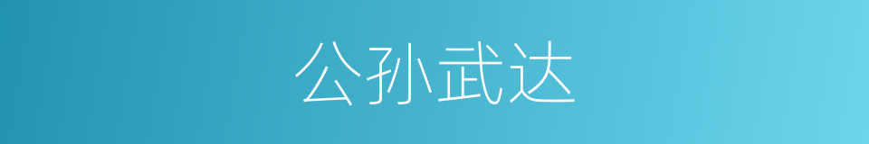 公孙武达的同义词