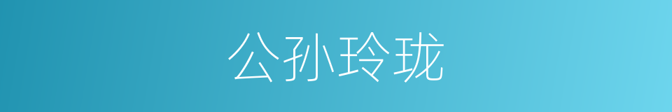 公孙玲珑的同义词