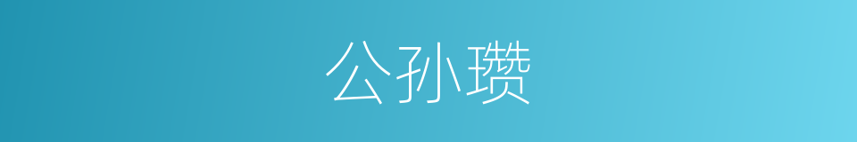 公孙瓒的同义词