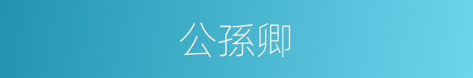 公孫卿的同義詞