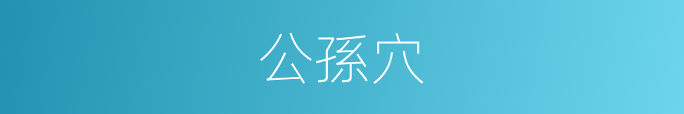 公孫穴的同義詞