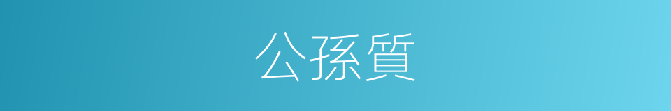 公孫質的同義詞