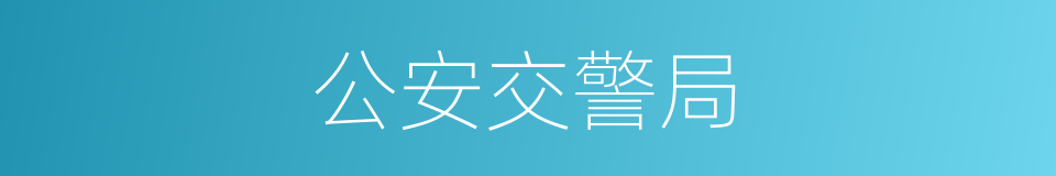 公安交警局的同义词