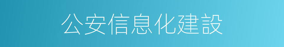 公安信息化建設的同義詞