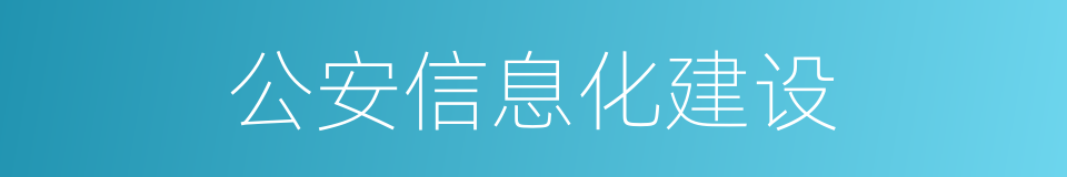 公安信息化建设的同义词