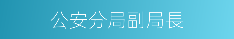 公安分局副局長的同義詞