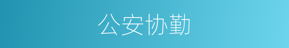公安协勤的同义词