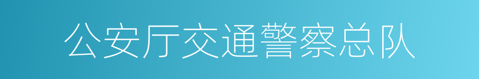 公安厅交通警察总队的同义词