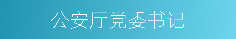 公安厅党委书记的同义词