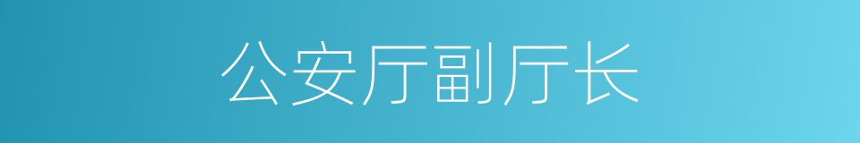 公安厅副厅长的同义词
