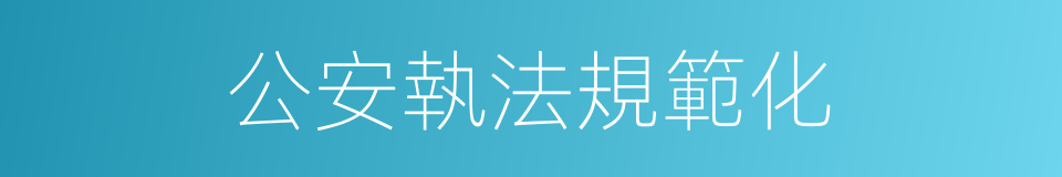 公安執法規範化的同義詞