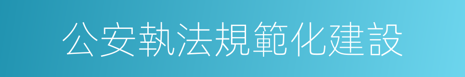 公安執法規範化建設的同義詞