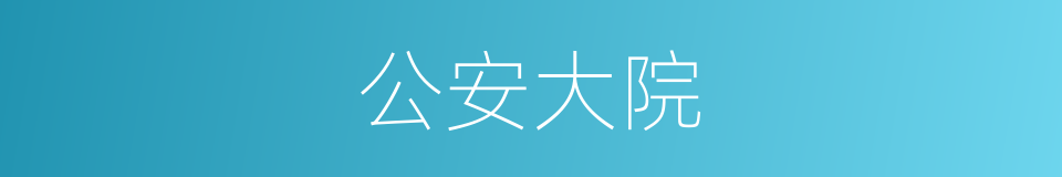 公安大院的同义词
