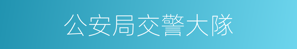 公安局交警大隊的同義詞