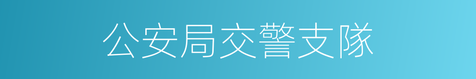 公安局交警支隊的同義詞