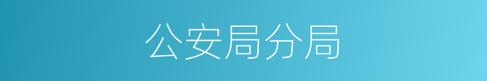 公安局分局的同义词