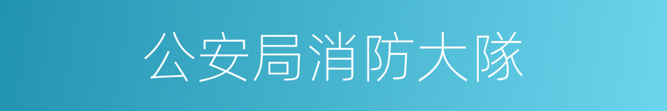 公安局消防大隊的同義詞
