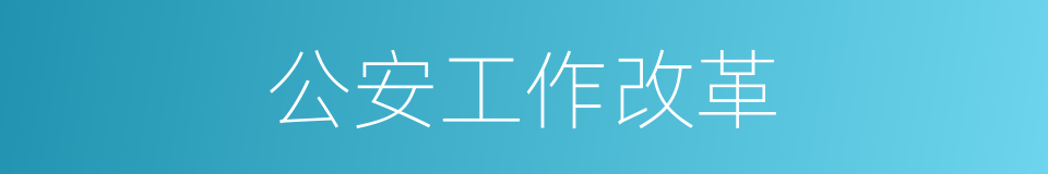 公安工作改革的同义词