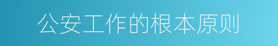 公安工作的根本原则的同义词