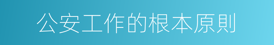 公安工作的根本原則的同義詞