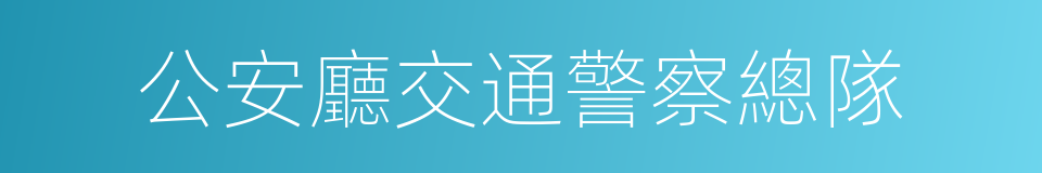 公安廳交通警察總隊的同義詞