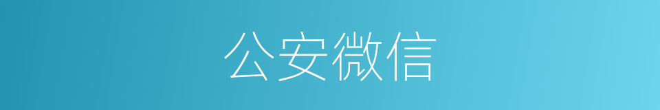 公安微信的同义词