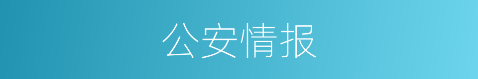公安情报的同义词