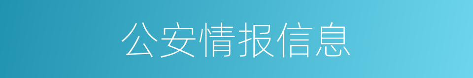 公安情报信息的同义词