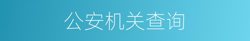 公安机关查询的同义词