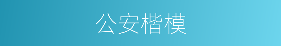 公安楷模的同义词